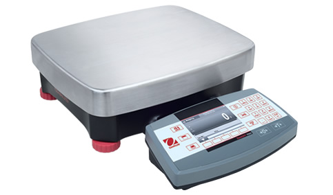 Ranger 7000 Bench and Counting Scales